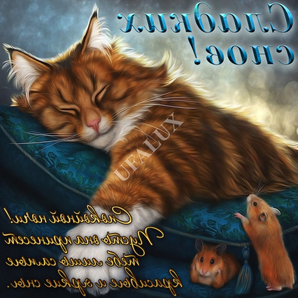 Проститутка Натали ПоследнийДен